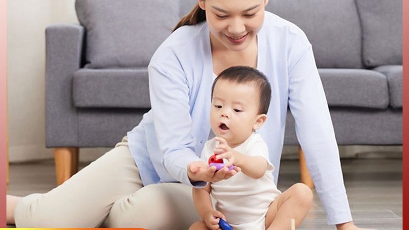 辅食机如何选？六大品牌深度解析**